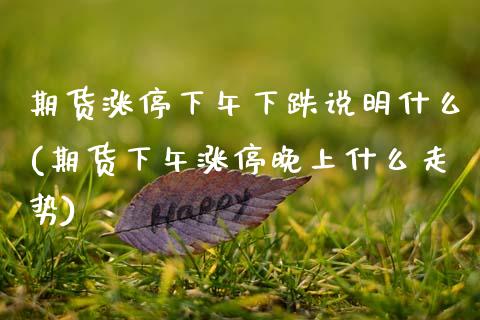 期货涨停下午下跌说明什么(期货下午涨停晚上什么走势) (https://www.njaxzs.com/) 黄金期货 第1张