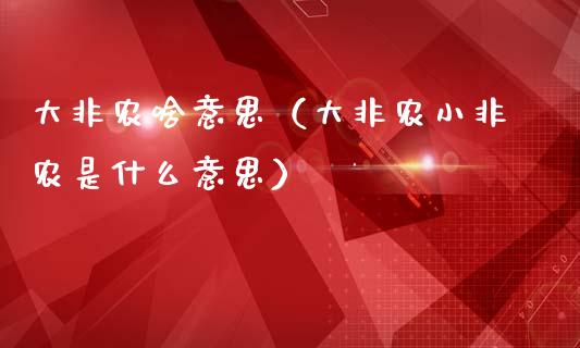 大非农啥意思(大非农小非农是什么意思) 期货直播间 第1张-爱新财经 大非农啥意思(大非农小非农是什么意思) (https://www.njaxzs.com/) 期货直播间 第1张