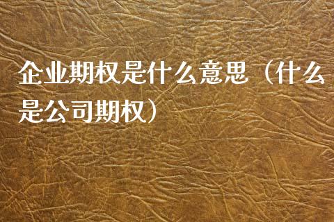 企业期权是什么意思(什么是公司期权) 黄金期货 第1张-爱新财经 企业期权是什么意思(什么是公司期权) (https://www.njaxzs.com/) 黄金期货 第1张