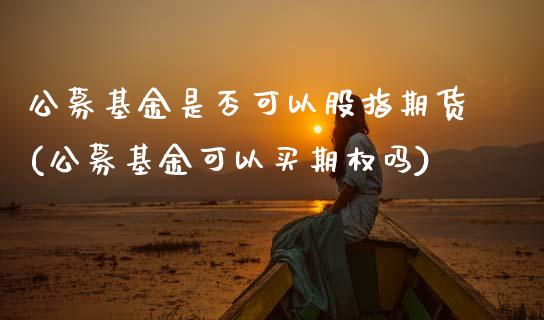 公募基金是否可以股指期货(公募基金可以买期权吗) (https://www.njaxzs.com/) 期货行情 第1张