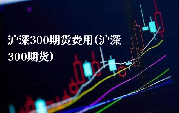 沪深300期货费用(沪深300期货) (https://www.njaxzs.com/) 期货开户 第1张
