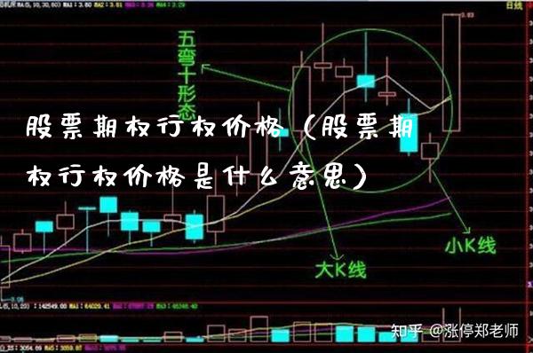 股票期权行权(股票期权行权是什么意思) 期货直播间 第1张-爱新财经 股票期权行权(股票期权行权是什么意思) (https://www.njaxzs.com/) 期货直播间 第1张