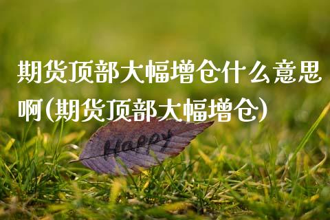 期货顶部大幅增仓什么意思啊(期货顶部大幅增仓) (https://www.njaxzs.com/) 期货开户 第1张