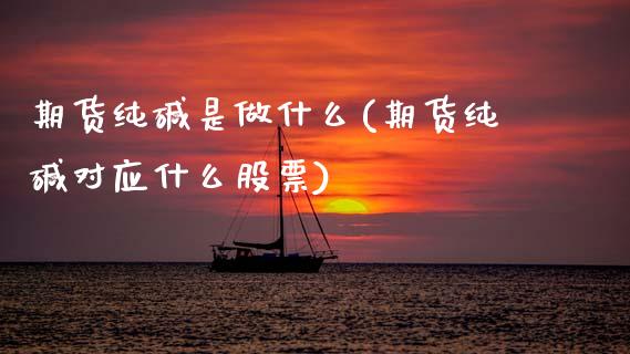 期货纯碱是做什么(期货纯碱对应什么股票) (https://www.njaxzs.com/) 期货投资 第1张