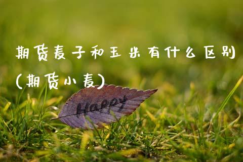 期货麦子和玉米有什么区别(期货小麦) (https://www.njaxzs.com/) 期货投资 第1张