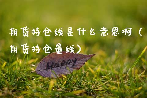 期货持仓线是什么意思啊（期货持仓量线） (https://www.njaxzs.com/) 内盘期货 第1张