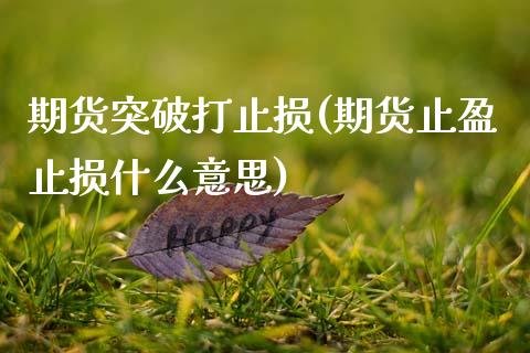 期货突破打止损(期货止盈止损什么意思) (https://www.njaxzs.com/) 原油期货 第1张