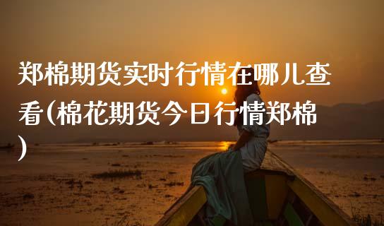 郑棉期货实时行情在哪儿查看(棉花期货今日行情郑棉) (https://www.njaxzs.com/) 期货开户 第1张