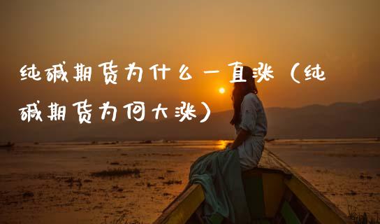 纯碱期货为什么一直涨（纯碱期货为何大涨） (https://www.njaxzs.com/) 期货行情 第1张