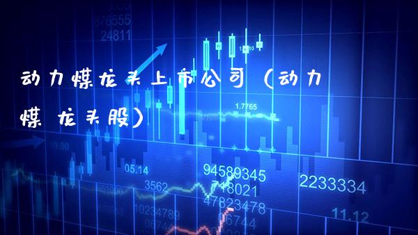 动力煤龙头上市公司（动力煤 龙头股） (https://www.njaxzs.com/) 期货行情 第1张