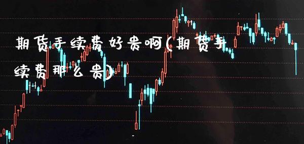 期货手续费好贵啊(期货手续费那么贵) (https://www.njaxzs.com/) 原油期货 第1张