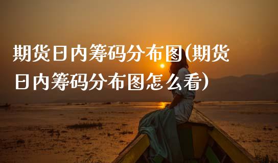 期货日内筹码分布图(期货日内筹码分布图怎么看) (https://www.njaxzs.com/) 期货直播间 第1张