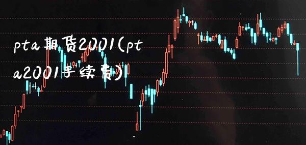 pta期货2001(pta2001手续费) (https://www.njaxzs.com/) 期货开户 第1张