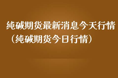 纯碱期货最新消息今天行情（纯碱期货今日行情） (https://www.njaxzs.com/) 内盘期货 第1张