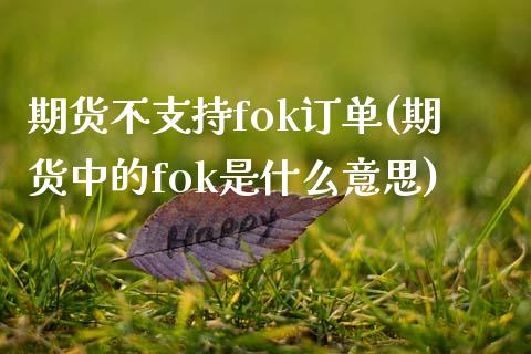 期货不支持fok订单(期货中的fok是什么意思) (https://www.njaxzs.com/) 期货投资 第1张