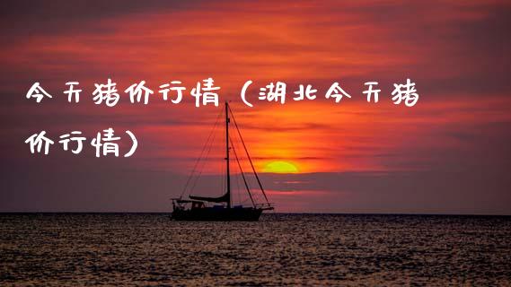 今天猪价行情（湖北今天猪价行情） (https://www.njaxzs.com/) 期货直播间 第1张