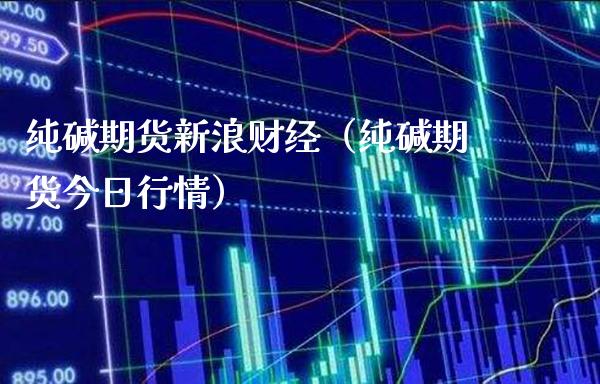 纯碱期货新浪财经（纯碱期货今日行情） (https://www.njaxzs.com/) 内盘期货 第1张
