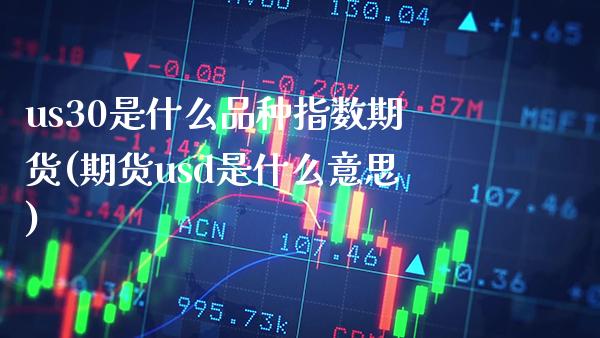 us30是什么品种指数期货(期货usd是什么意思) (https://www.njaxzs.com/) 期货直播间 第1张