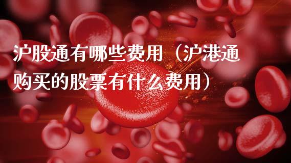 沪股通有哪些费用（沪港通购买的股票有什么费用） (https://www.njaxzs.com/) 内盘期货 第1张