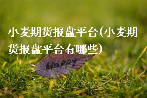 小麦期货报盘平台(小麦期货报盘平台有哪些) (https://www.njaxzs.com/) 期货行情 第1张