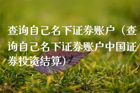 查询自己名下证券账户（查询自己名下证券账户中国证券投资结算） (https://www.njaxzs.com/) 期货直播间 第1张