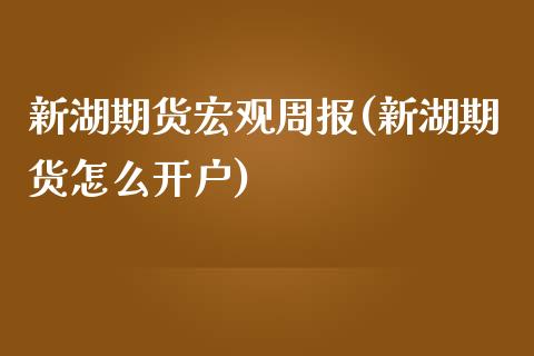 新湖期货宏观周报(新湖期货怎么开户) (https://www.njaxzs.com/) 期货行情 第1张