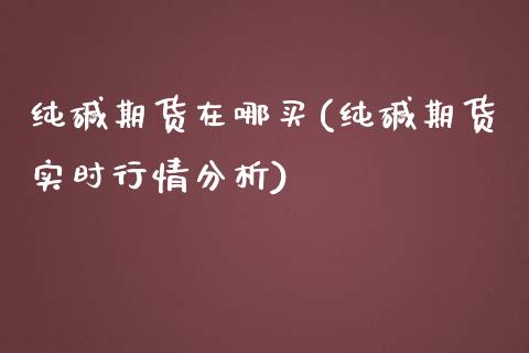 纯碱期货在哪买(纯碱期货实时行情分析) (https://www.njaxzs.com/) 原油期货 第1张