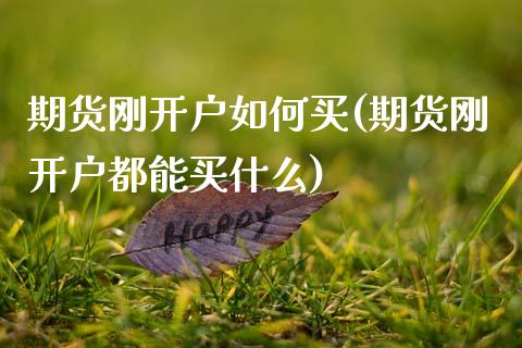 期货刚开户如何买(期货刚开户都能买什么) (https://www.njaxzs.com/) 期货直播间 第1张