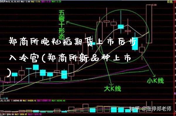 郑商所晚籼稻期货上市后步入冷宫(郑商所新品种上市) (https://www.njaxzs.com/) 内盘期货 第1张