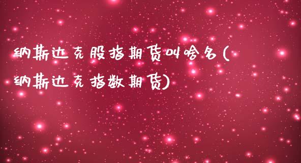 纳斯达克股指期货叫啥名(纳斯达克指数期货) (https://www.njaxzs.com/) 期货开户 第1张