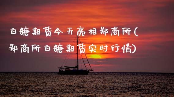 白糖期货今天亮相郑商所(郑商所白糖期货实时行情) (https://www.njaxzs.com/) 期货行情 第1张