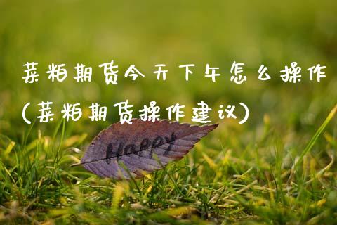 菜粕期货今天下午怎么操作(菜粕期货操作建议) (https://www.njaxzs.com/) 原油期货 第1张