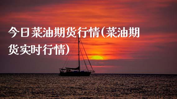 今日菜油期货行情(菜油期货实时行情) (https://www.njaxzs.com/) 原油期货 第1张