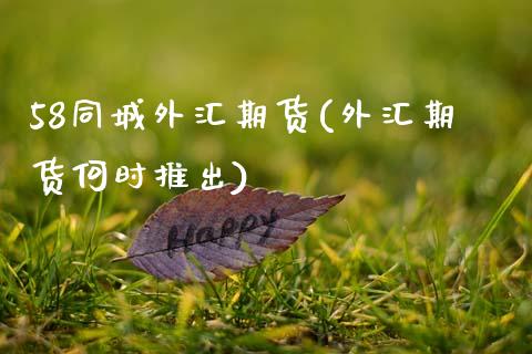 58同城外汇期货(外汇期货何时推出) (https://www.njaxzs.com/) 内盘期货 第1张