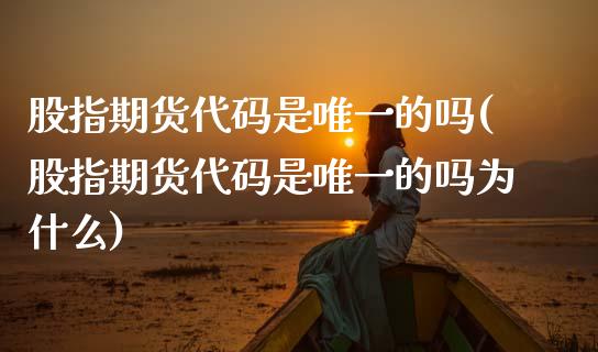 股指期货代码是唯一的吗(股指期货代码是唯一的吗为什么) (https://www.njaxzs.com/) 期货直播间 第1张