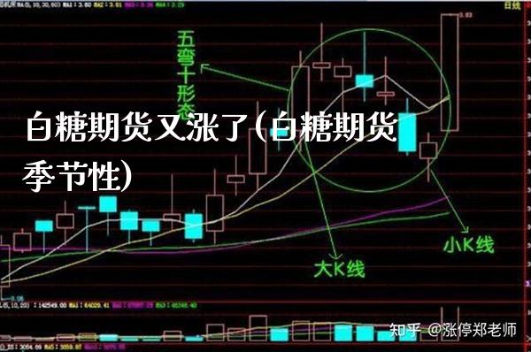 白糖期货又涨了(白糖期货季节性) (https://www.njaxzs.com/) 期货直播间 第1张