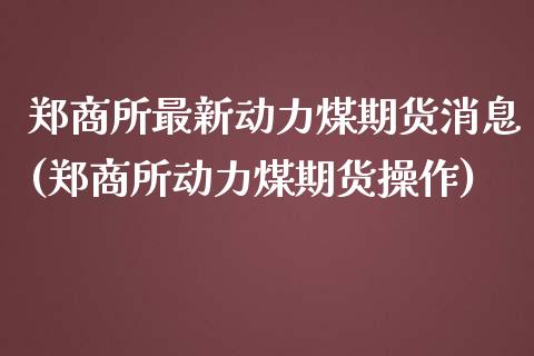 郑商所最新动力煤期货消息(郑商所动力煤期货操作) (https://www.njaxzs.com/) 期货投资 第1张