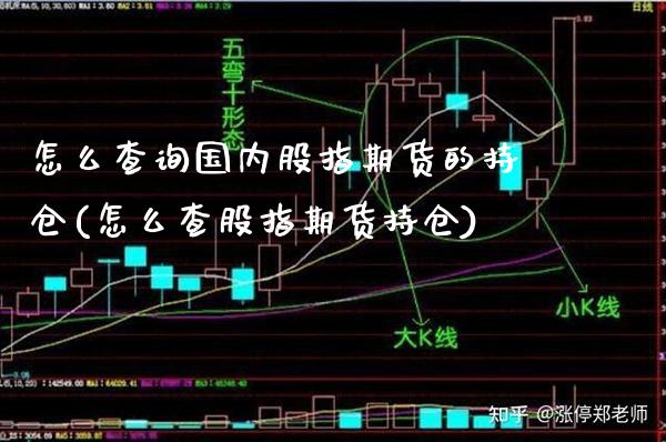 怎么查询国内股指期货的持仓(怎么查股指期货持仓) (https://www.njaxzs.com/) 期货直播间 第1张