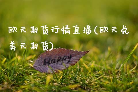 欧元期货行情直播(欧元兑美元期货) (https://www.njaxzs.com/) 期货直播间 第1张