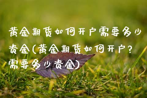黄金期货如何开户需要多少资金(黄金期货如何开户?需要多少资金) (https://www.njaxzs.com/) 期货直播间 第1张
