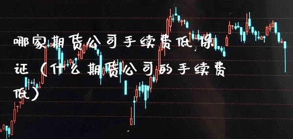 哪家期货公司手续费低,保证（什么期货公司的手续费低） (https://www.njaxzs.com/) 期货直播间 第1张