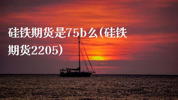 硅铁期货是75b么(硅铁期货2205) (https://www.njaxzs.com/) 原油期货 第1张