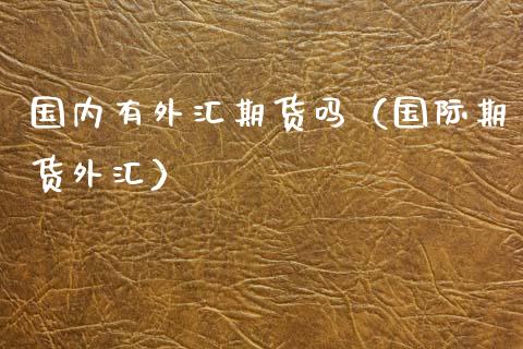 国内有外汇期货吗（国际期货外汇） (https://www.njaxzs.com/) 原油期货 第1张