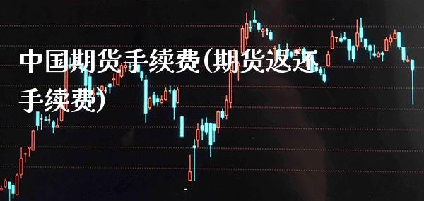中国期货手续费(期货返还手续费) (https://www.njaxzs.com/) 期货直播间 第1张