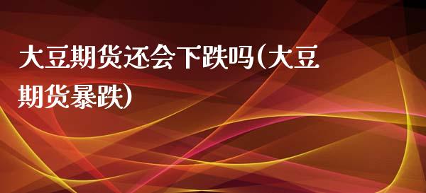 大豆期货还会下跌吗(大豆期货暴跌) (https://www.njaxzs.com/) 期货直播间 第1张