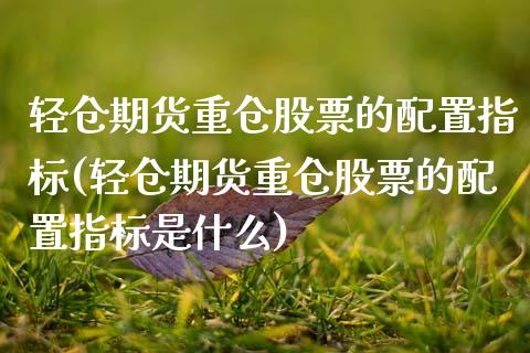 轻仓期货重仓股票的配置指标(轻仓期货重仓股票的配置指标是什么) (https://www.njaxzs.com/) 期货投资 第1张