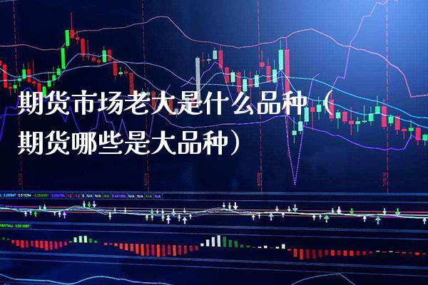期货市场老大是什么品种（期货哪些是大品种） (https://www.njaxzs.com/) 期货直播间 第1张