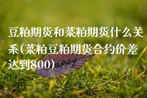豆粕期货和菜粕期货什么关系(菜粕豆粕期货合约价差达到800) (https://www.njaxzs.com/) 期货直播间 第1张