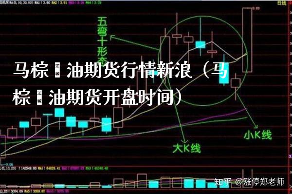马棕榈油期货行情新浪（马棕榈油期货时间） (https://www.njaxzs.com/) 内盘期货 第1张