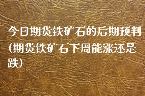 今日期货铁矿石的后期预判(期货铁矿石下周能涨还是跌) (https://www.njaxzs.com/) 原油期货 第1张